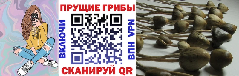 Галлюциногенные грибы Cubensis  Дюртюли 